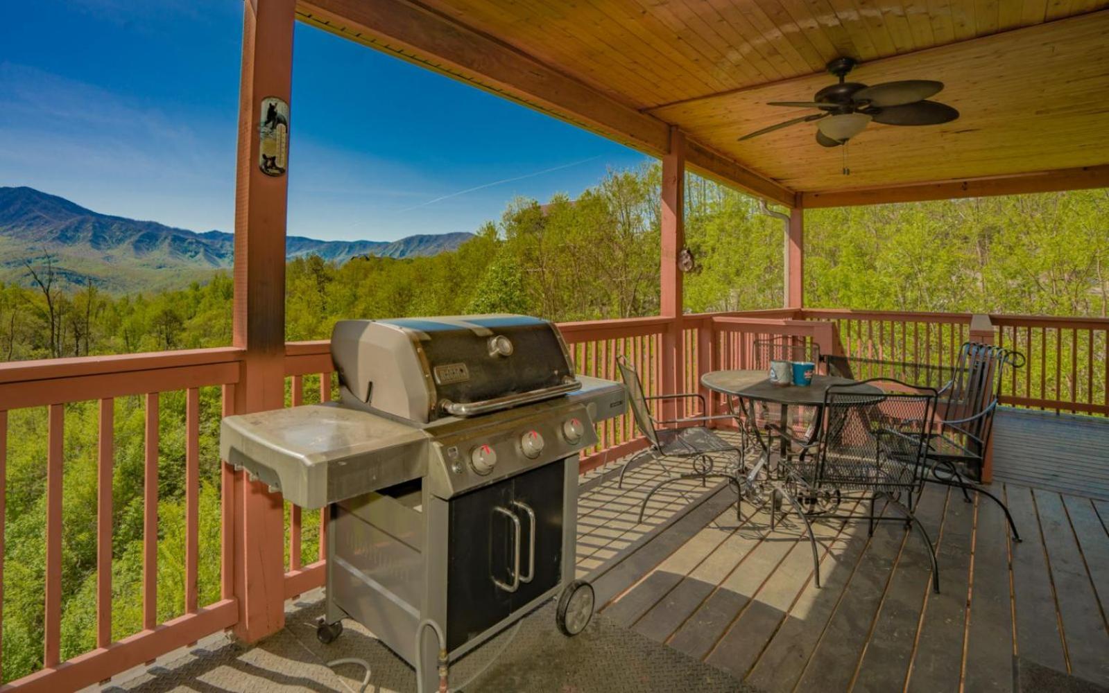 Beartastic Mountain View Lodge Gatlinburg Εξωτερικό φωτογραφία